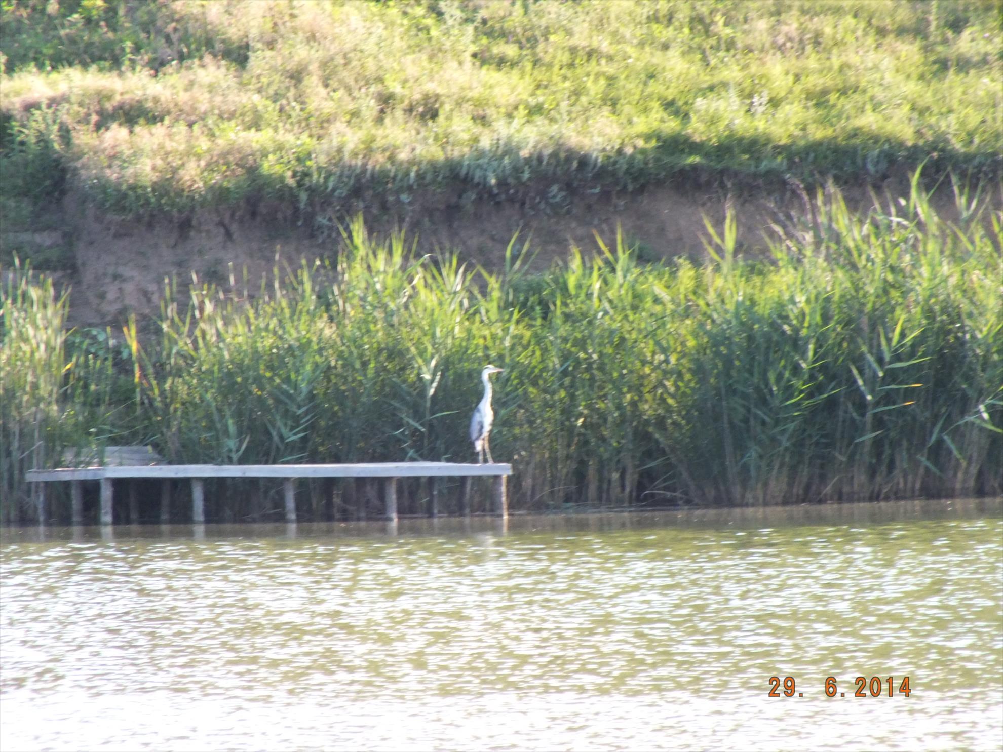 Sulimanu 28 - 29 iunie 2014 - dscf4029.JPG